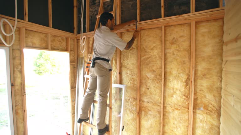 Professional Insulation Installation & Removal in Williston, SC